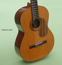 Elegante chitarra da concerto