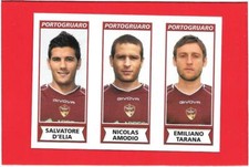 CALCIATORI 2010-11 Panini 2011