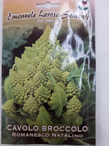 Semi sementi cavolo - sementi, broccolo