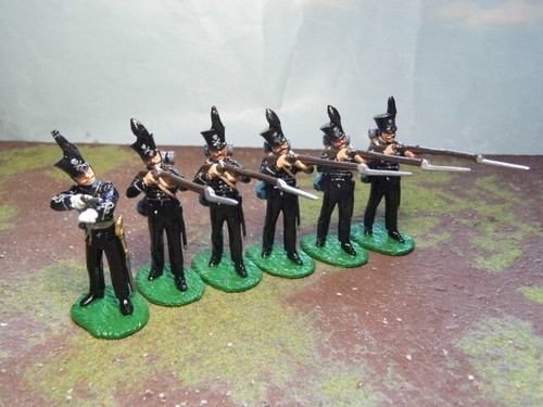 Trofeo miniature brunswicker - trofeo,