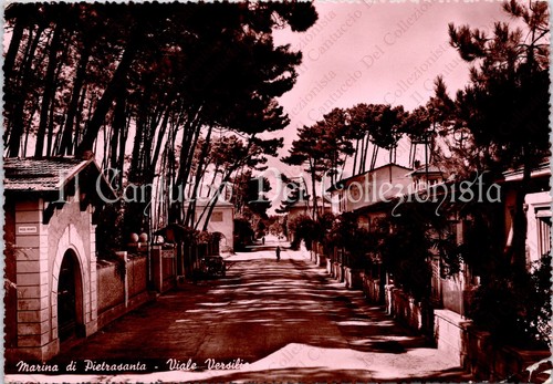 1951 marina pietrasanta - 1951,