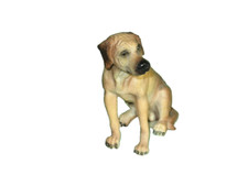 Statuina cane Rhodesian