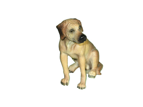 Rhodesian ridgeback to 4 - ridgeback,, 3"