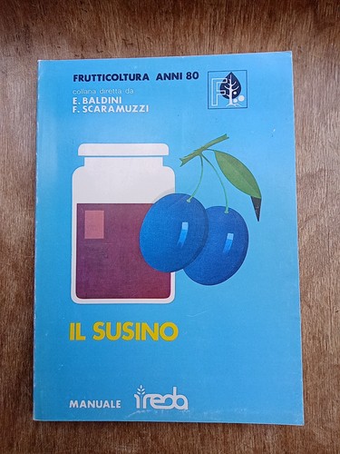 Susino reda - susino,