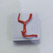 Ramo di corallo rosso naturale