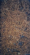 1 Kg Nocciole Sgusciate Al
