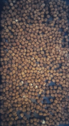 Nocciole sgusciate al - sgusciate,
