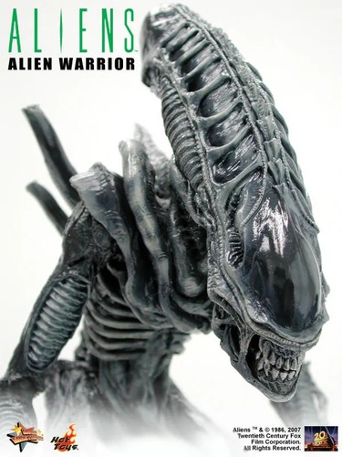 Hot toys scale - hot,