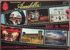 SALUTI DA PAVIA - PELLICCERIA