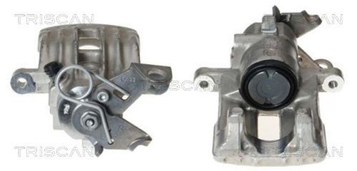 Pinza freno triscan 8170 - pinza,