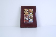 I vangeli di Matteo e Marco