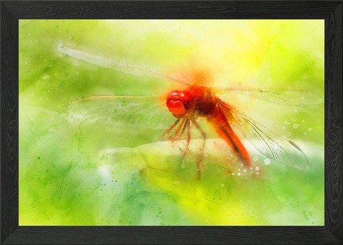 Poster arte parete con - da,