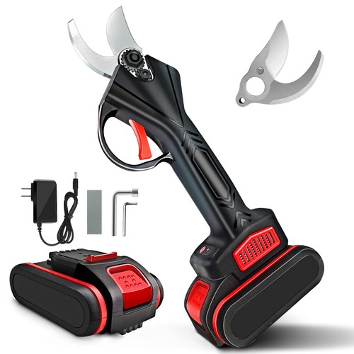 Forbici motorizzate - forbici,