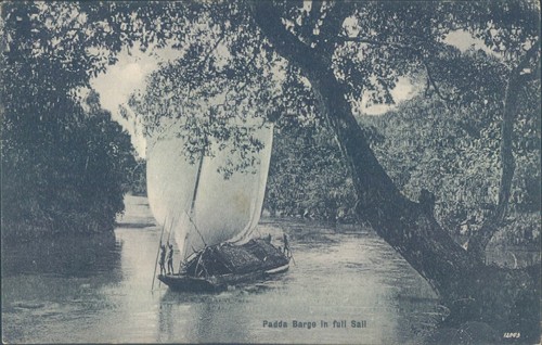 Ceylon padda chiatta vela - chiatta,
