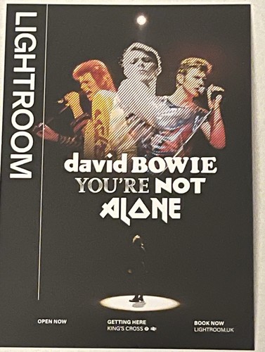 David bowie you not alone - bowie-you’re,