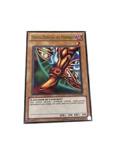 Yugioh Right Leg of the Forbidden One DL11-SP002 Purple Rare Near Mint SPANISH
