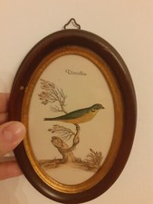 ✅?Piccolo quadretto d'arte D'epoca con stampa Colorata A Mano Verzellino