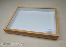 scatola entomologica legno CHIARA 30X40 plastazote entomologia cassetta insetti