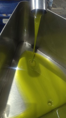 Olio extravergine oliva 5 - olio, di