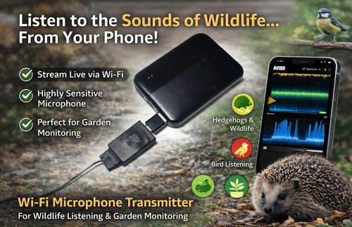Trasmettitore audio wifi - trasmettitore,