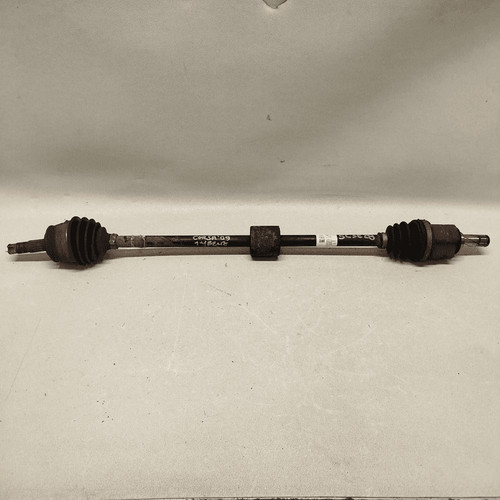 13149829 semialbero ant - 13149829,