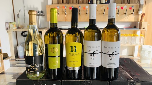 Vino offerta degustazione - vino,
