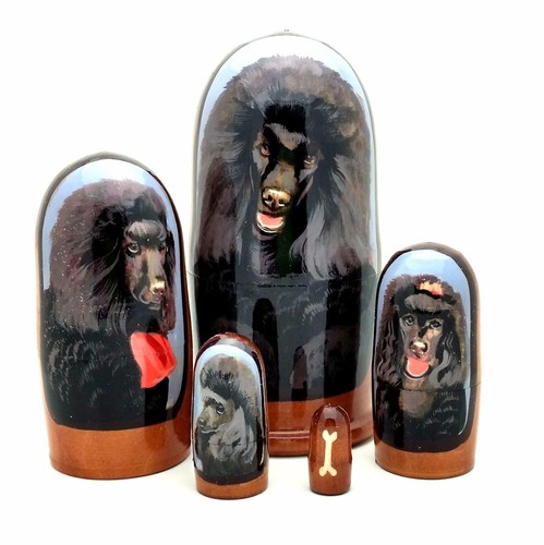 Barboncino nero razza cane - nero,