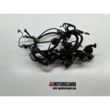 IMPIANTO ELETTRICO CABLAGGIO DUCATI MONSTER 1200 S 2014-2016