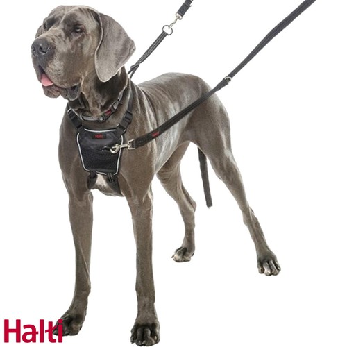 Halti pull imbracatura - halti,