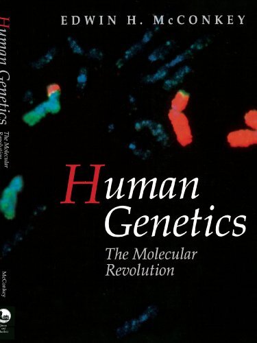 Human genetics the molecular - genetics:,
