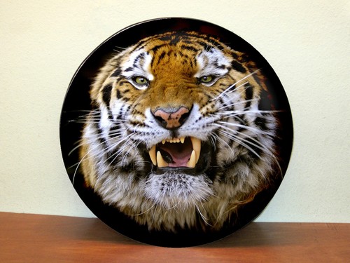 Copriruota scorta tiger - copriruota, di