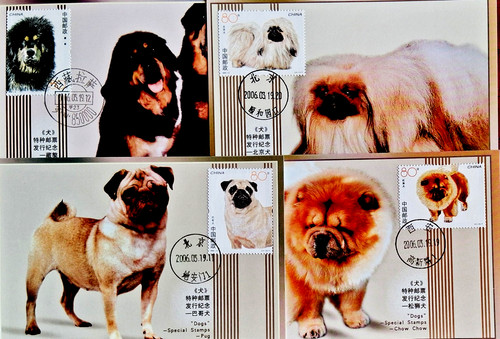 Cina cani 4 - -,