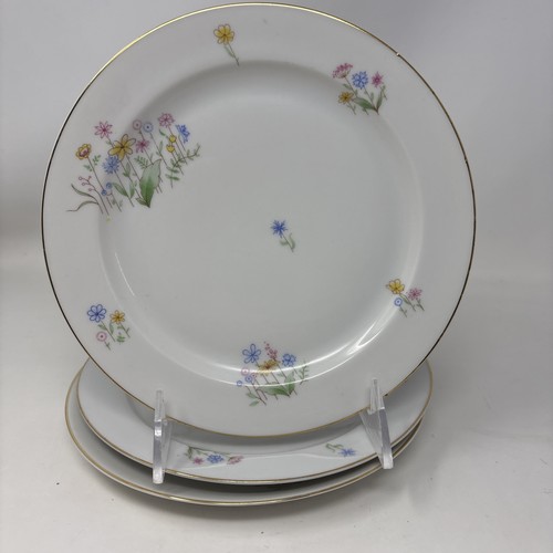 Arzberg fiori multicolore - arzberg,