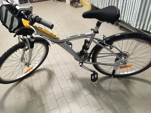 Biciclette city bike - 2, city-bike