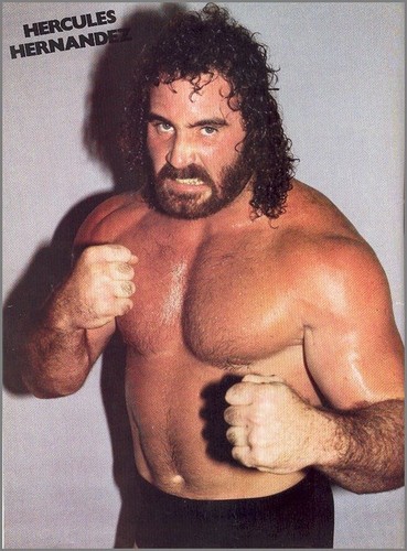 Wrestling superstars - wrestling,