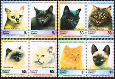 Gatti Animali Siamesi/Zenzero/Angora/Maine Coon/Himalayani/Korat MNH