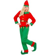 Costume elfo aiutanter - costume,