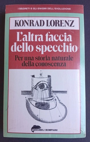 Altra faccia dello specchio - l'altra,