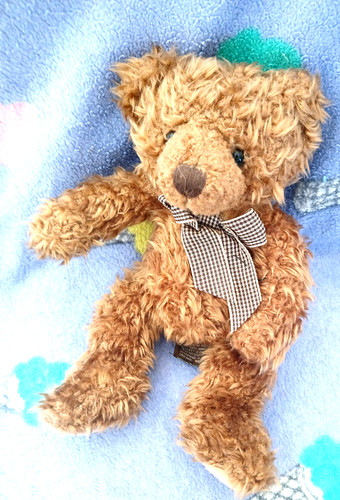 Peluche giocattolo morbido