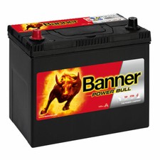 Banner p4524 power - power, bull