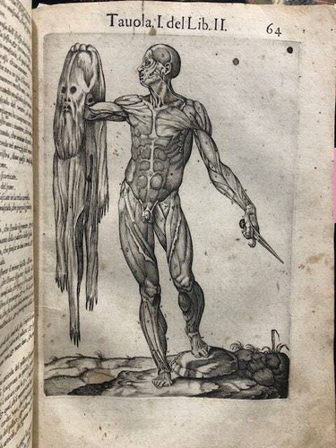 1560 important anatomy - important, book