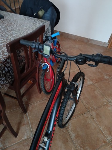 Mountain bike - mountain,