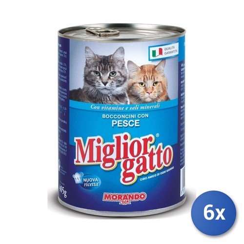 Miglior gatto barattolo 405 - gatto,