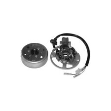 VOLANO COMPLETO RIZZATO 50