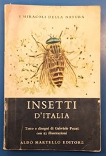 insetti d'italia i miracoli