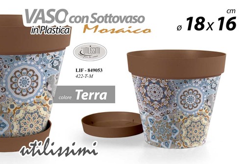 Vaso piante grasse fiori semi - vaso,