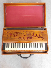 Paul professional - co.,