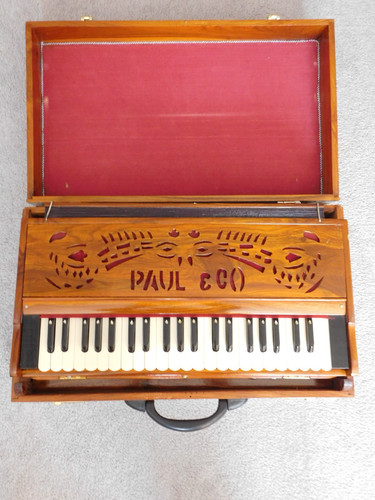 Paul professional - paul,