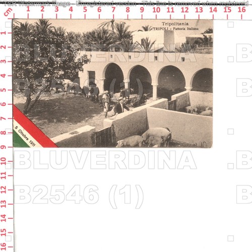 B2546 libia tripoli 1911 - b2546,