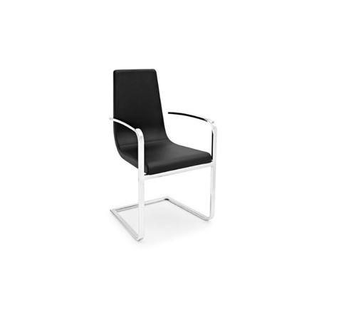 Connubia calligaris - connubia,